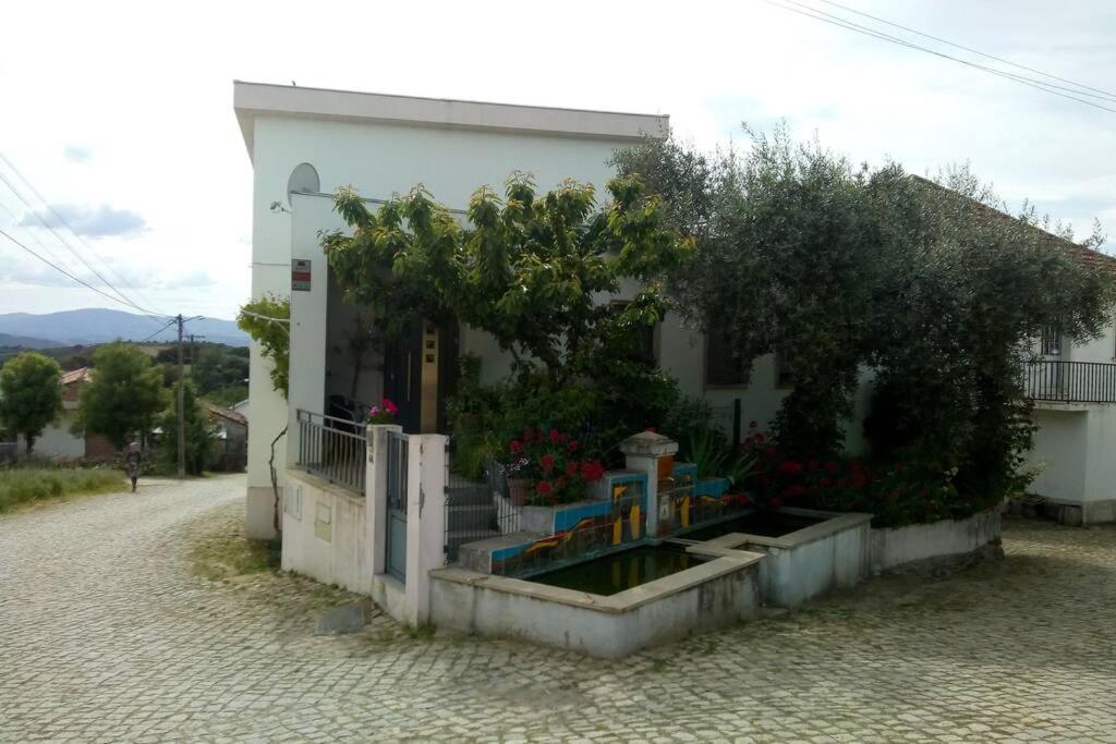 Casa Da Oliveira Apartment Milhao Ngoại thất bức ảnh
